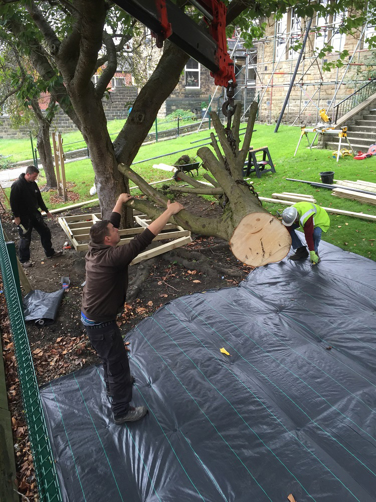 Warwick Road Primary, Batley Cool CanvasCool Canvas