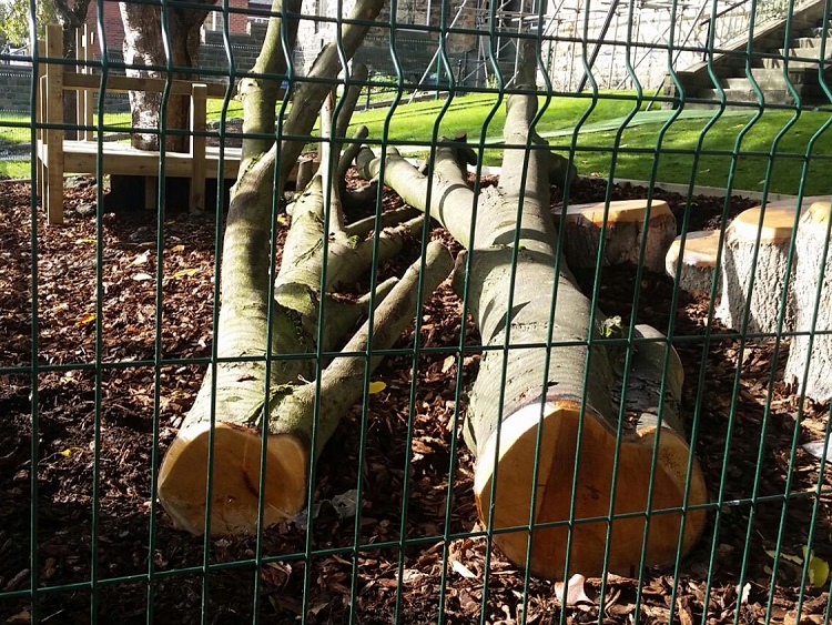 Warwick Road Primary, Batley Cool CanvasCool Canvas