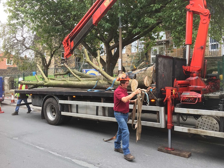Warwick Road Primary, Batley Cool CanvasCool Canvas