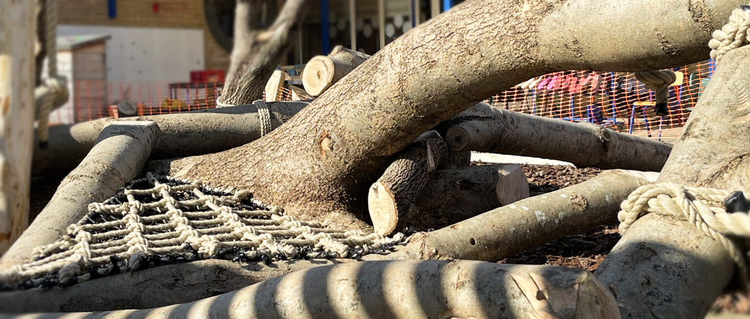 Fawcett Primary Cambridge Cool Canvas